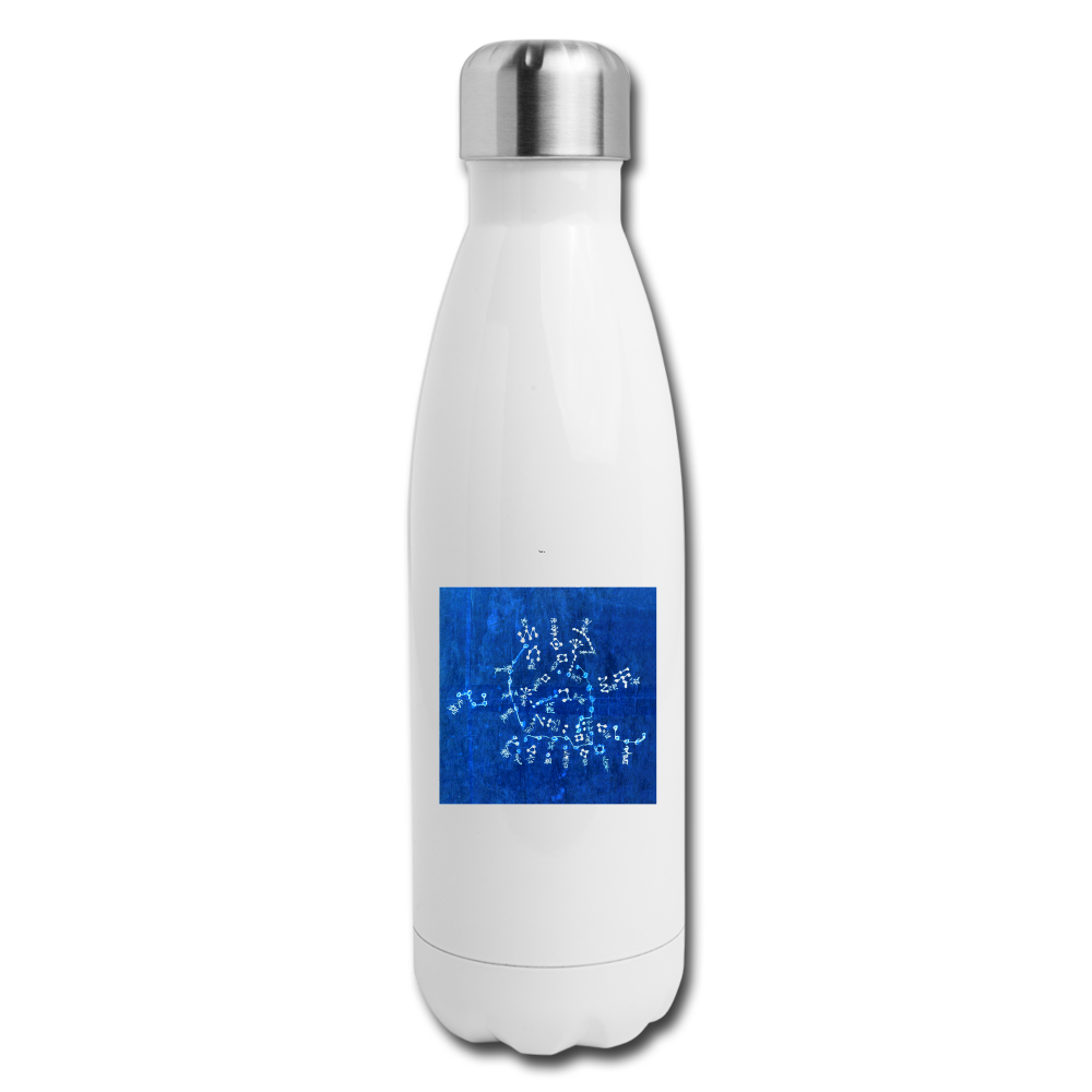 Insulated Stainless Steel Water Bottle - white